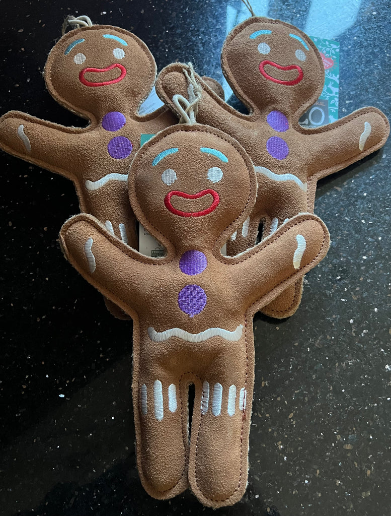 Jean Genie The Gingerbread Person