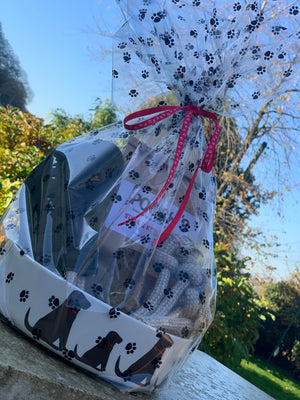 Dog essentials gift bag