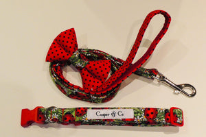 Ladybird dog collars, leads & bows.
